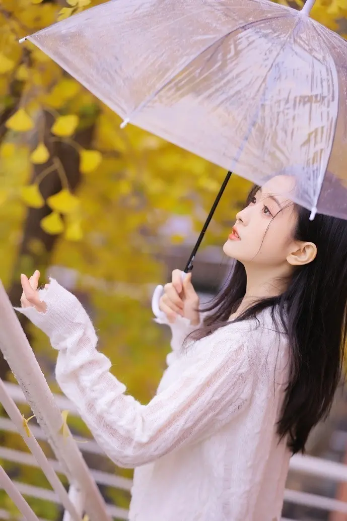 数字阅读盗版数据对比